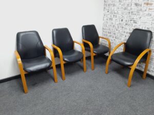 Tammy Range Leather Chairs