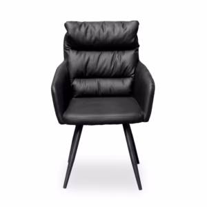 Elara Modern Armchair (Black)